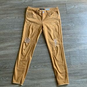 💛Honey Mustard Jeggings💛